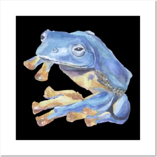 Tropical blue frog Posters and Art